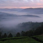 Руанда пейзаж