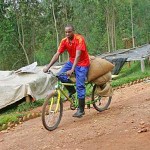 Перевозка кофе в Руанде
